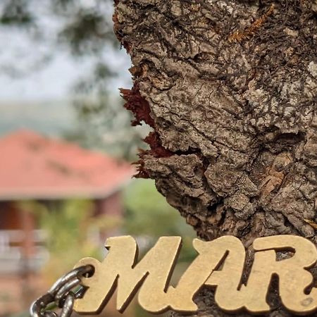 Вілла Mars Jungle Adventure Stud Farm With Private Jacuzzi Narsinge Екстер'єр фото