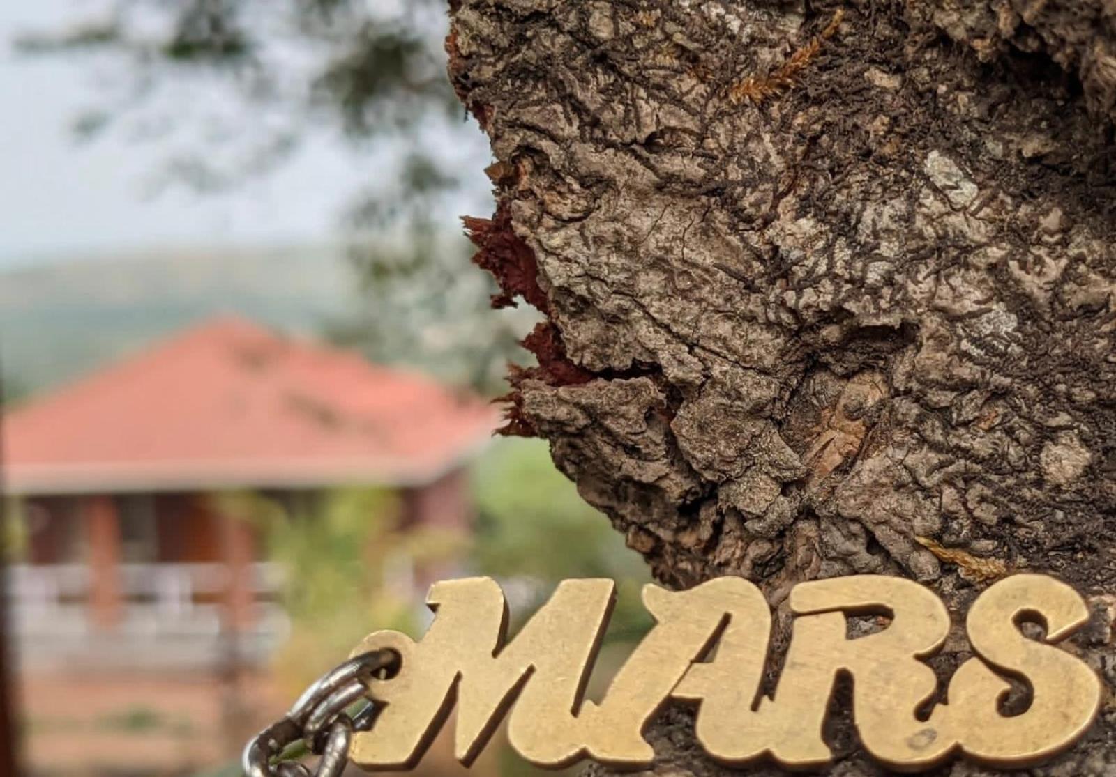 Вілла Mars Jungle Adventure Stud Farm With Private Jacuzzi Narsinge Екстер'єр фото