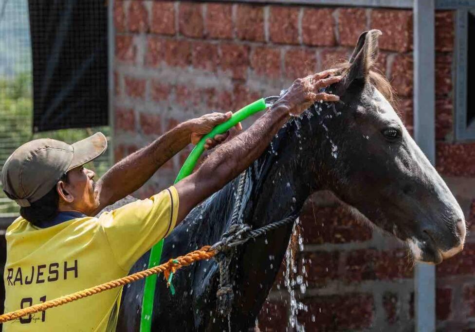 Вілла Mars Jungle Adventure Stud Farm With Private Jacuzzi Narsinge Екстер'єр фото